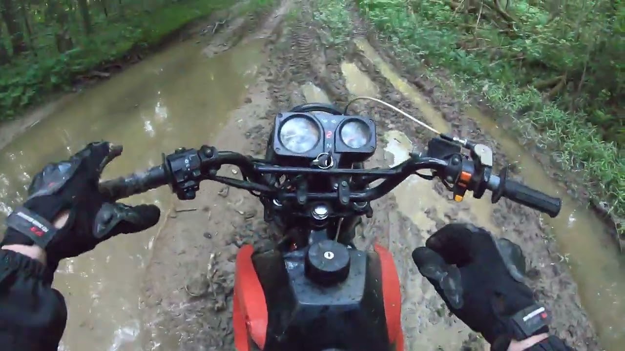 Lifan GY5 200 vs Лес  Off road с Avantis LUX 250