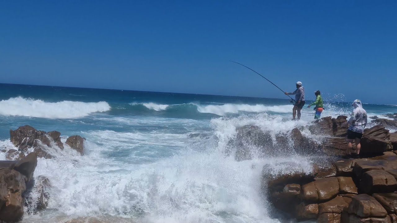 Defeating all odds for this  prized catch at Gully