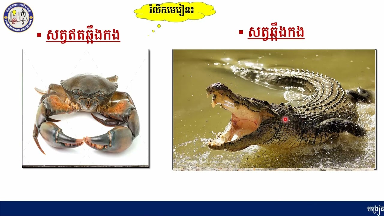 2 K8BIOEP01 ជីវវិទ្យាទី៨៖ជំពូកទី១៖មេរៀនទី១៖សត្វល្អិត និងជំងឺរុក្ខជាតិ 1