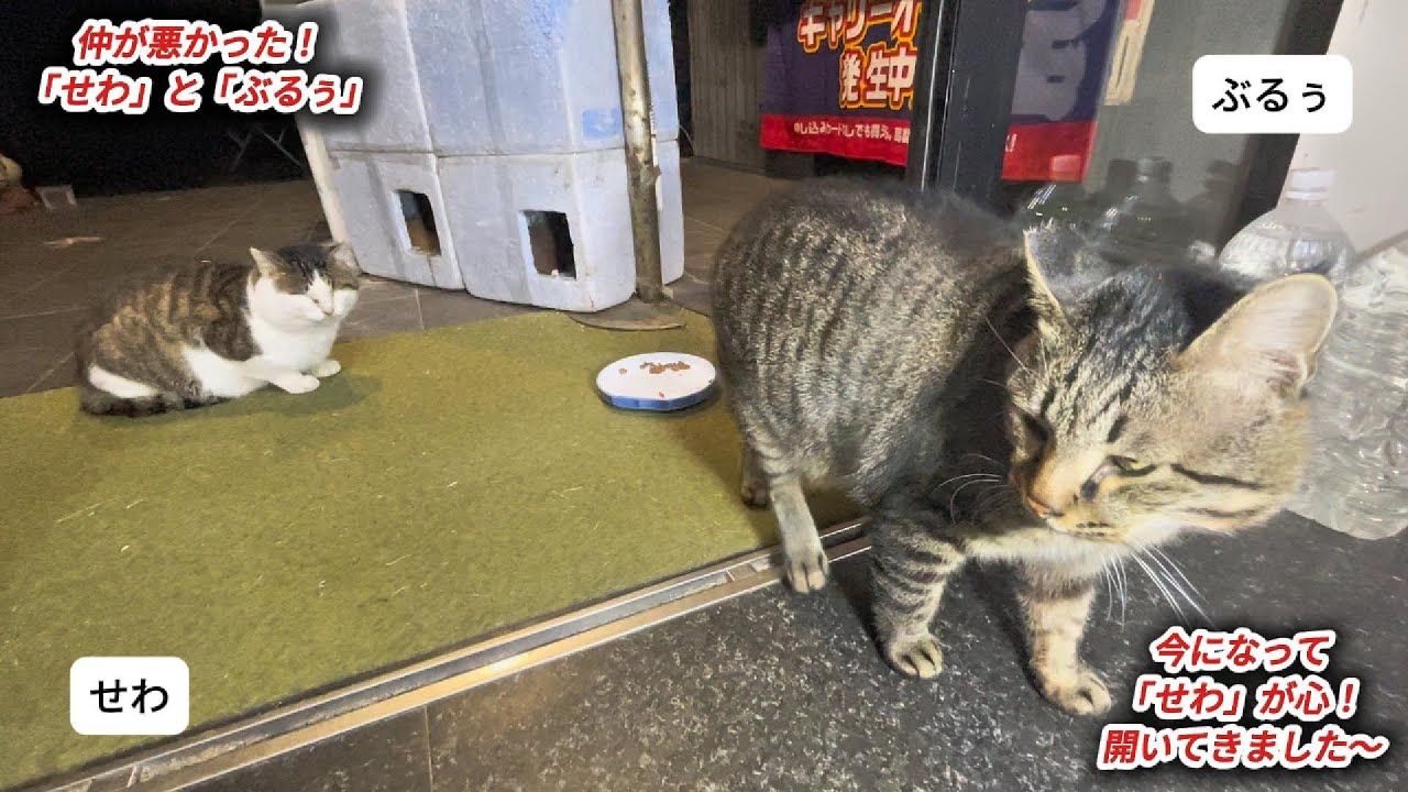 「せわ」が心！開いてきました～0113