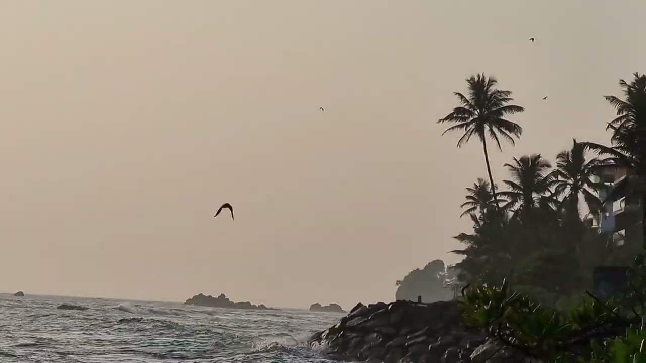 Devil's Island (Sion) Surf Break - Midigama, Sri Lanka