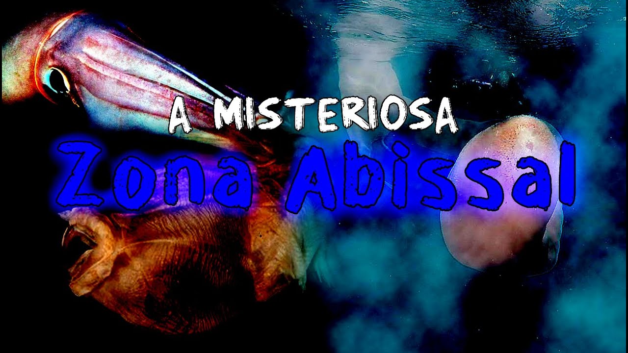 As Misteriosas Criaturas Abissais do Oceano Antartico
