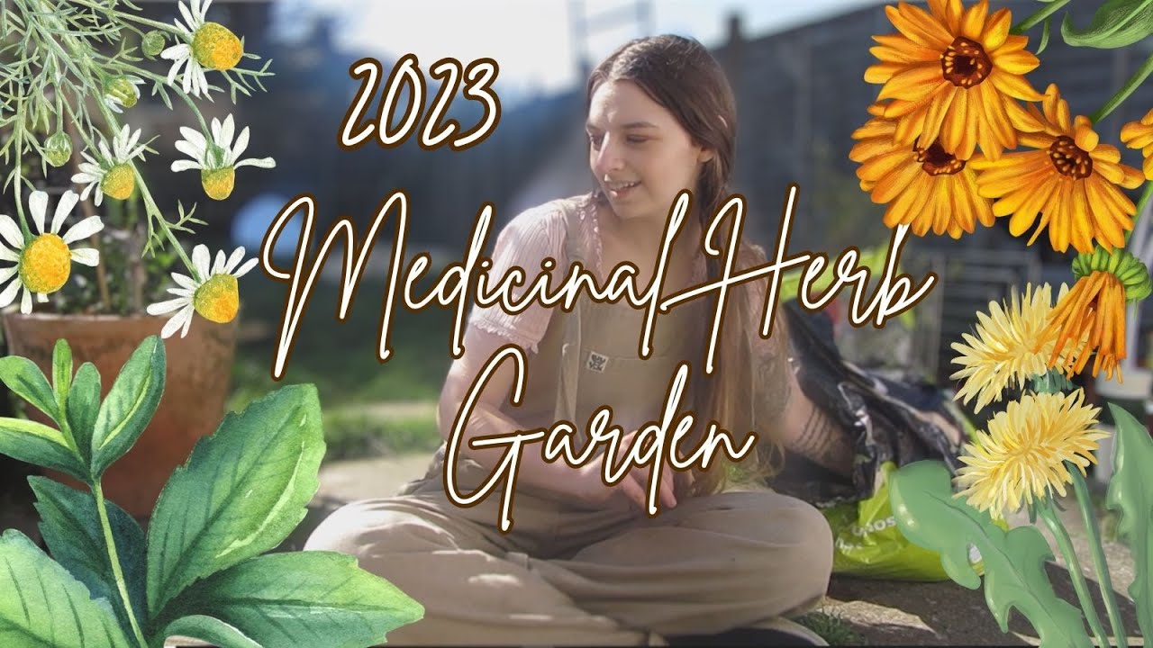 Planting my 2023 medicinal herb garden 🌱