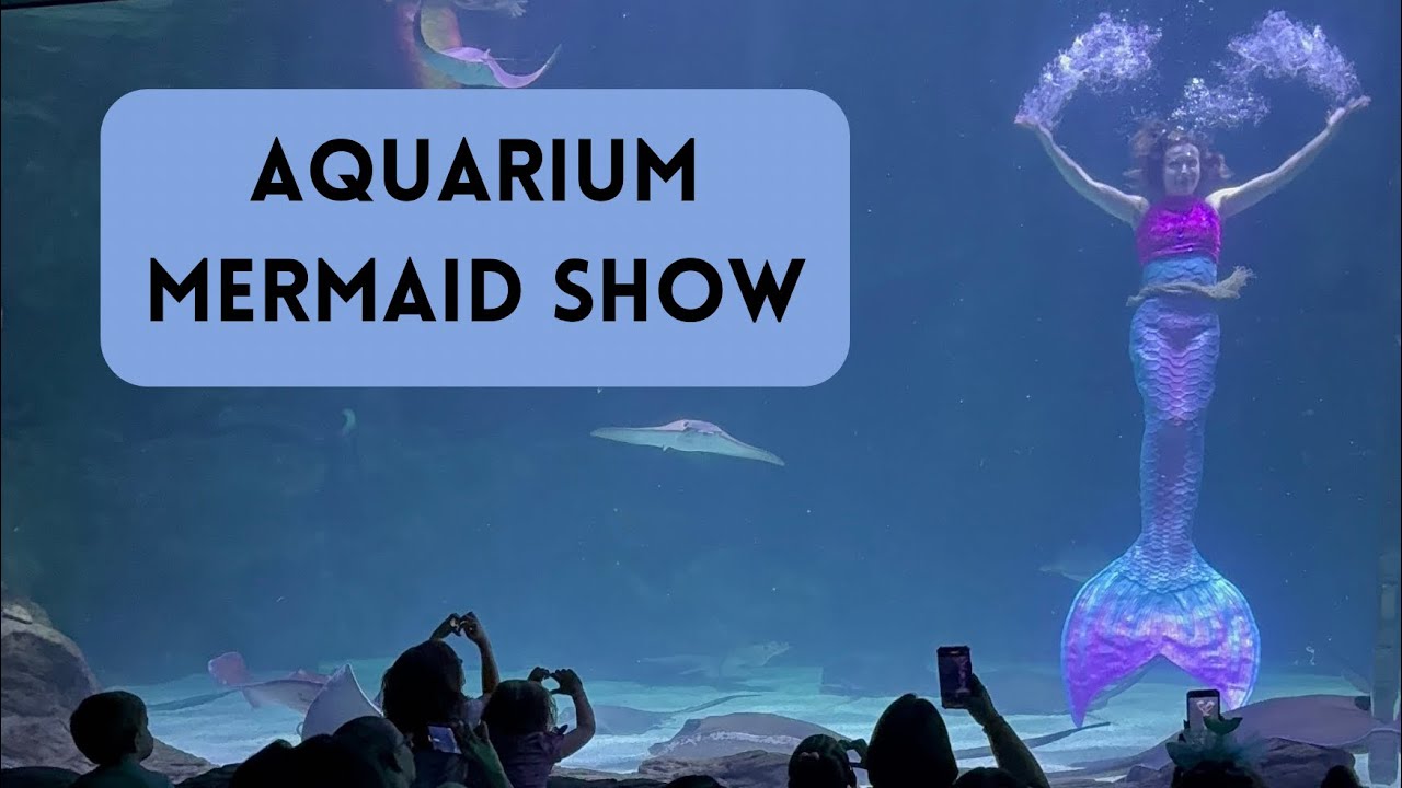 Full mermaid show at Ripley’s aquarium Myrtle Beach, South Carolina