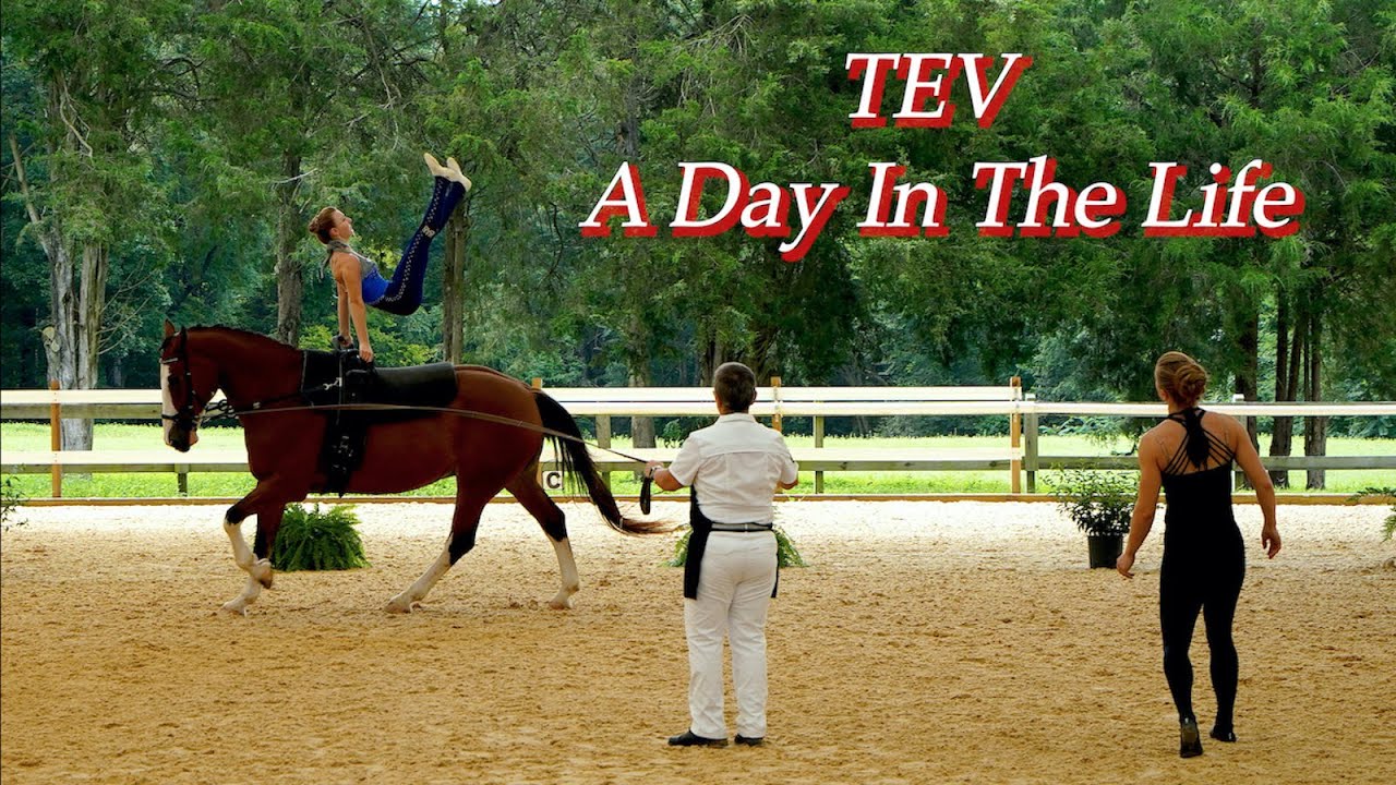 A Day In The Life of Triangle Equestrian Vaulting