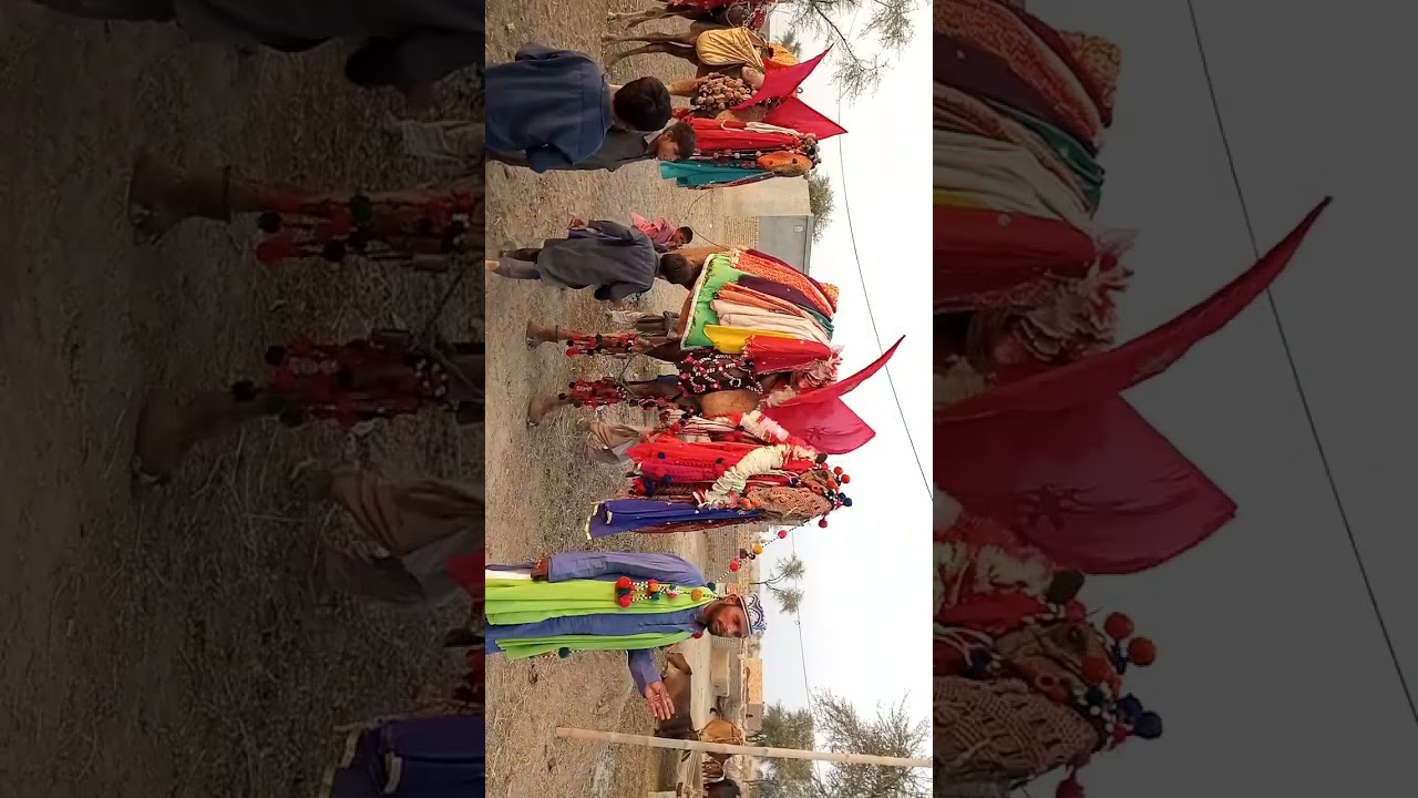 baba haji sher ke unt