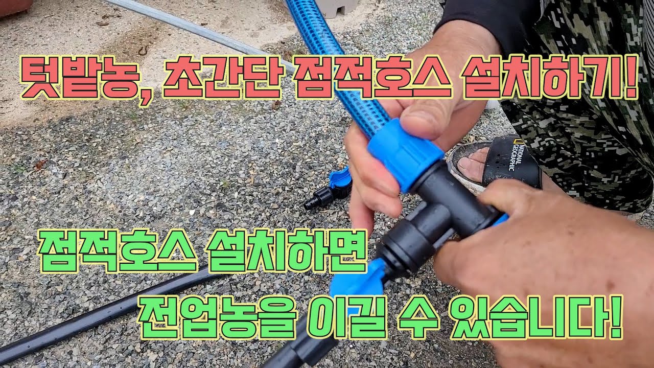 텃밭농이 전업농을 이기는 점적호스 설치법!! 간편한 설치로 농작물 대풍해보세요~