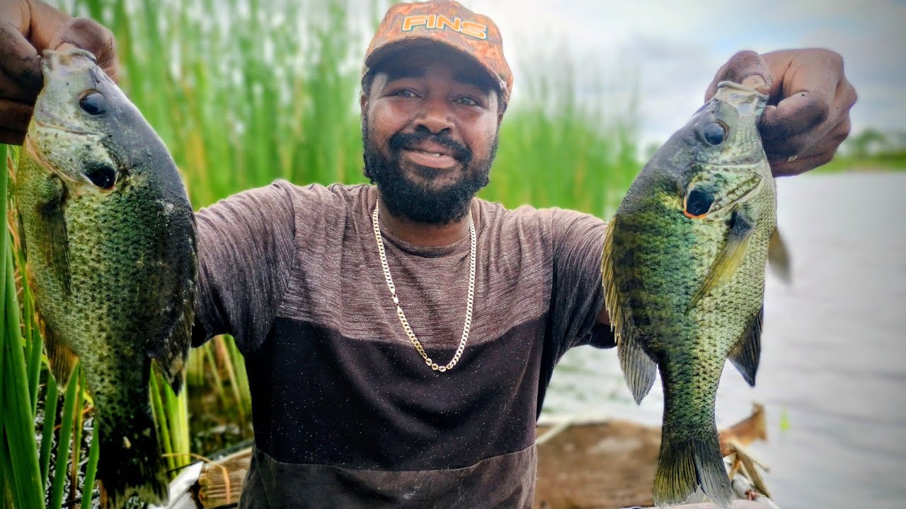 Catfish, Big Shellcracker & Tilapia Fishing Using Tight Lines & Red Worms. 