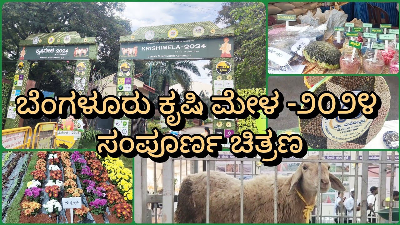 Krishi Mela 2024|| ಬೆಂಗಳೂರು ಕೃಷಿ ವಿಶ್ವವಿದ್ಯಾಲಯದ ನೇಡದ ||'ಕೃಷಿ ಮೇಳ ಸಂಪೂರ್ಣ ಚಿತ್ರಣ 01