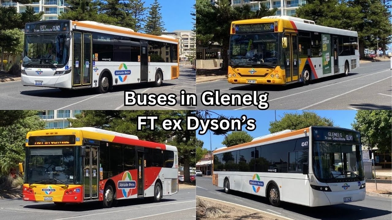 Buses in Glenelg FT ex Dyson's buses