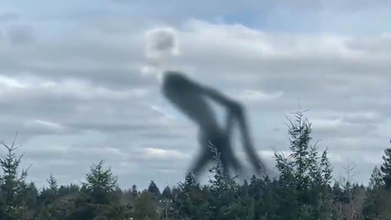Scribble head Trevor Henderson monster in real life