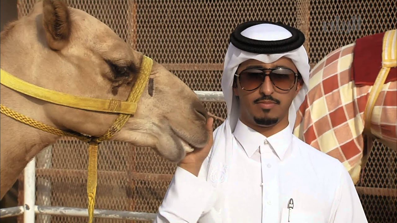 أخبار الريس - الحلقة العاشرة - 03-10-2015