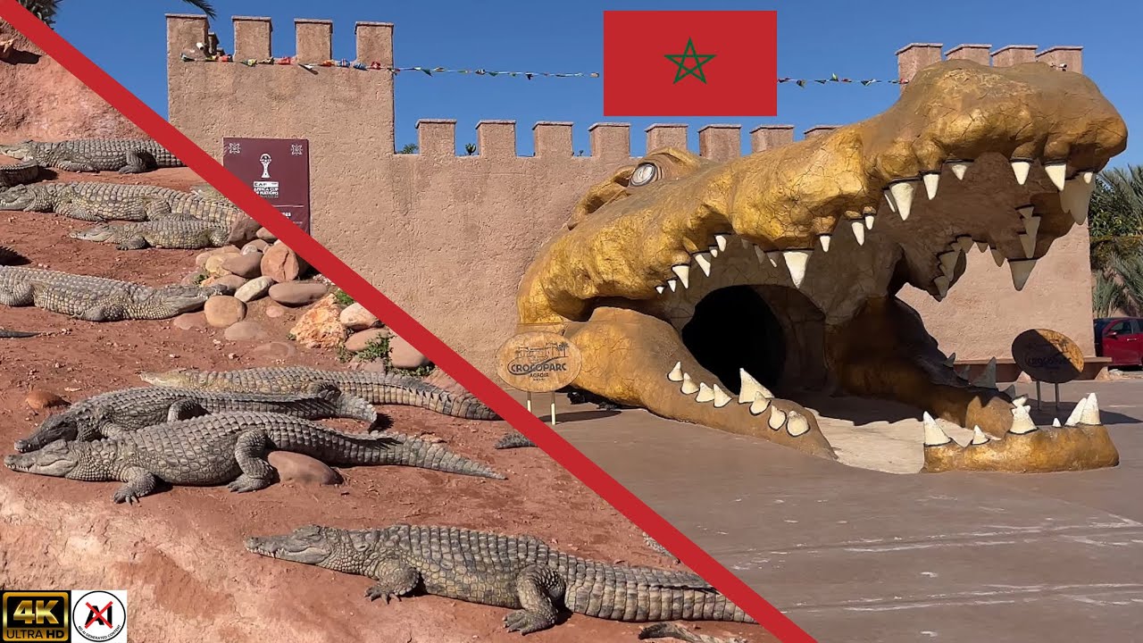 CROCOPARC AGADIR: Full 4K Walking Tour | Morocco’s Jungle Experience. 