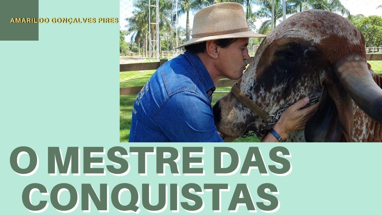 O MESTRE DAS CONQUISTAS