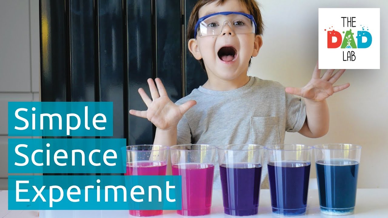 Science at Home: Red Cabbage Changing Colours (pH Indicator)