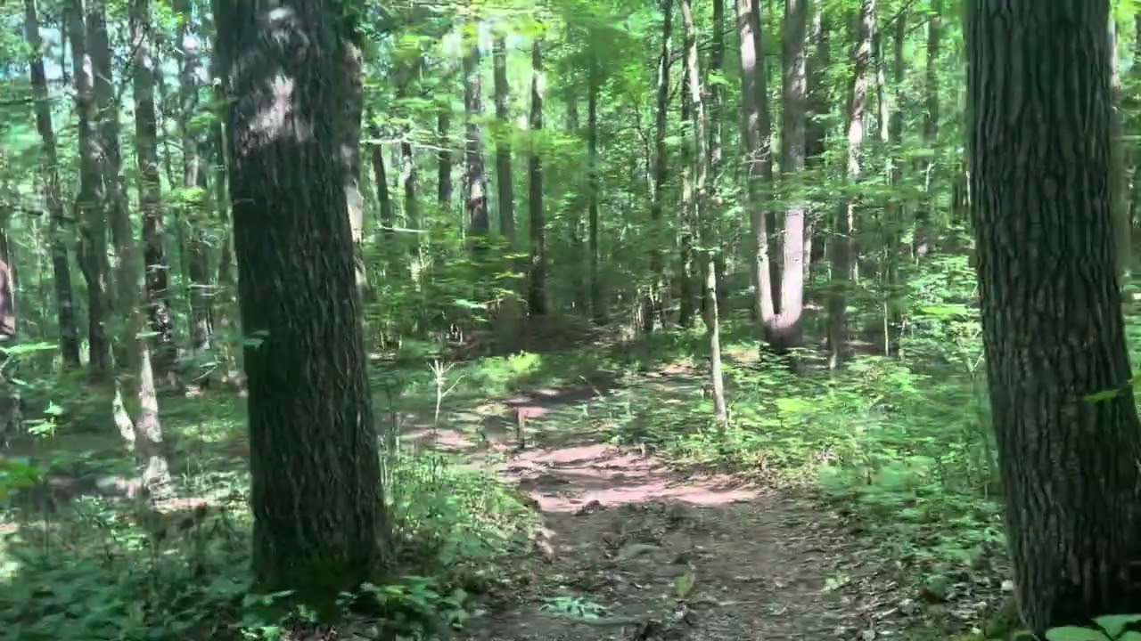 May 17, 2025 Red Clay State Park