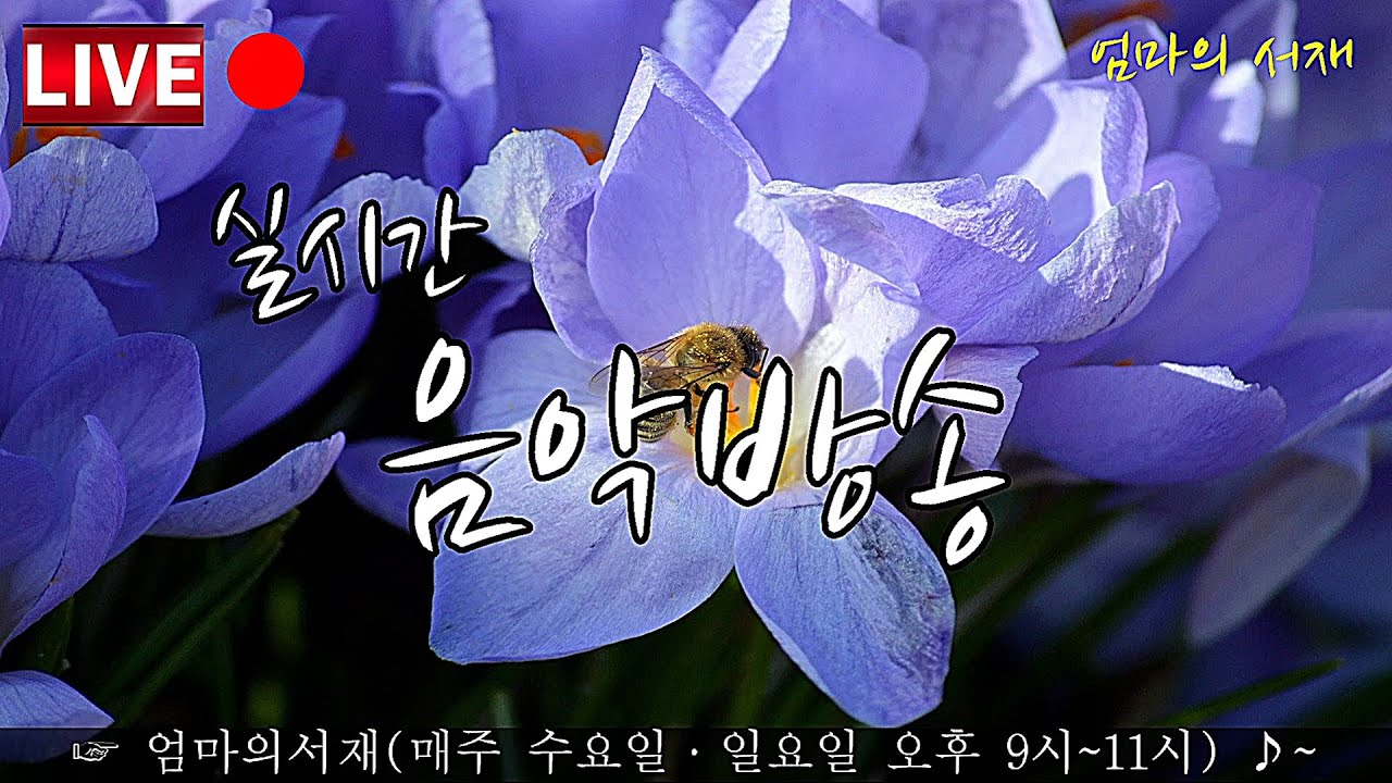 엄마의서재 실시간 음악 방송 &hearts;#LIVE Real-time music broadcasting