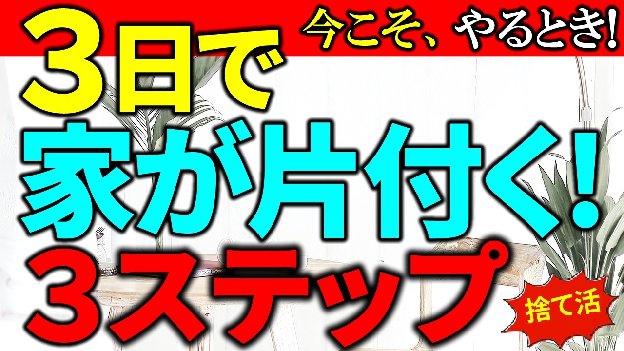 【明日片付けたくなる】３日で捨て活＆片付け完了｜モノがあってもスッキリ片付く方法