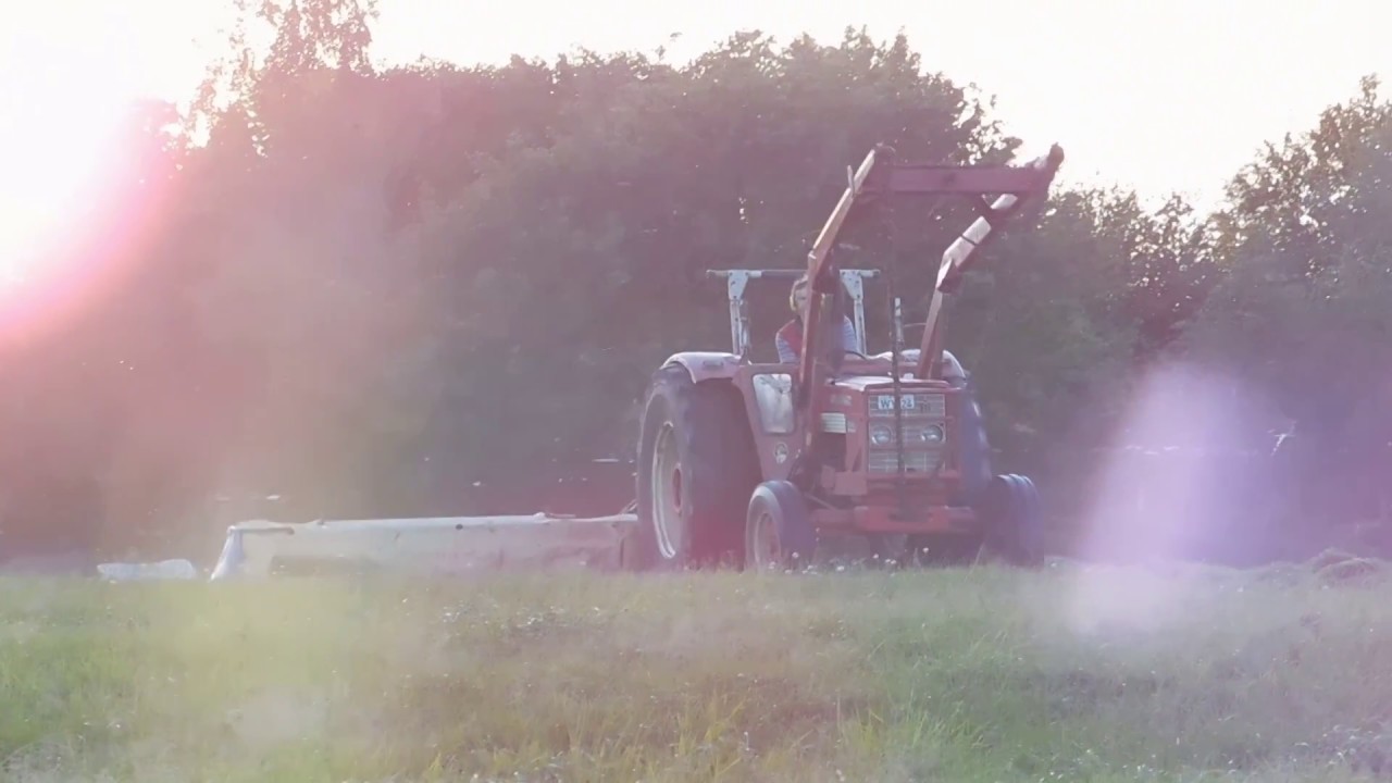 IHC 523 Mit Krone AM 242