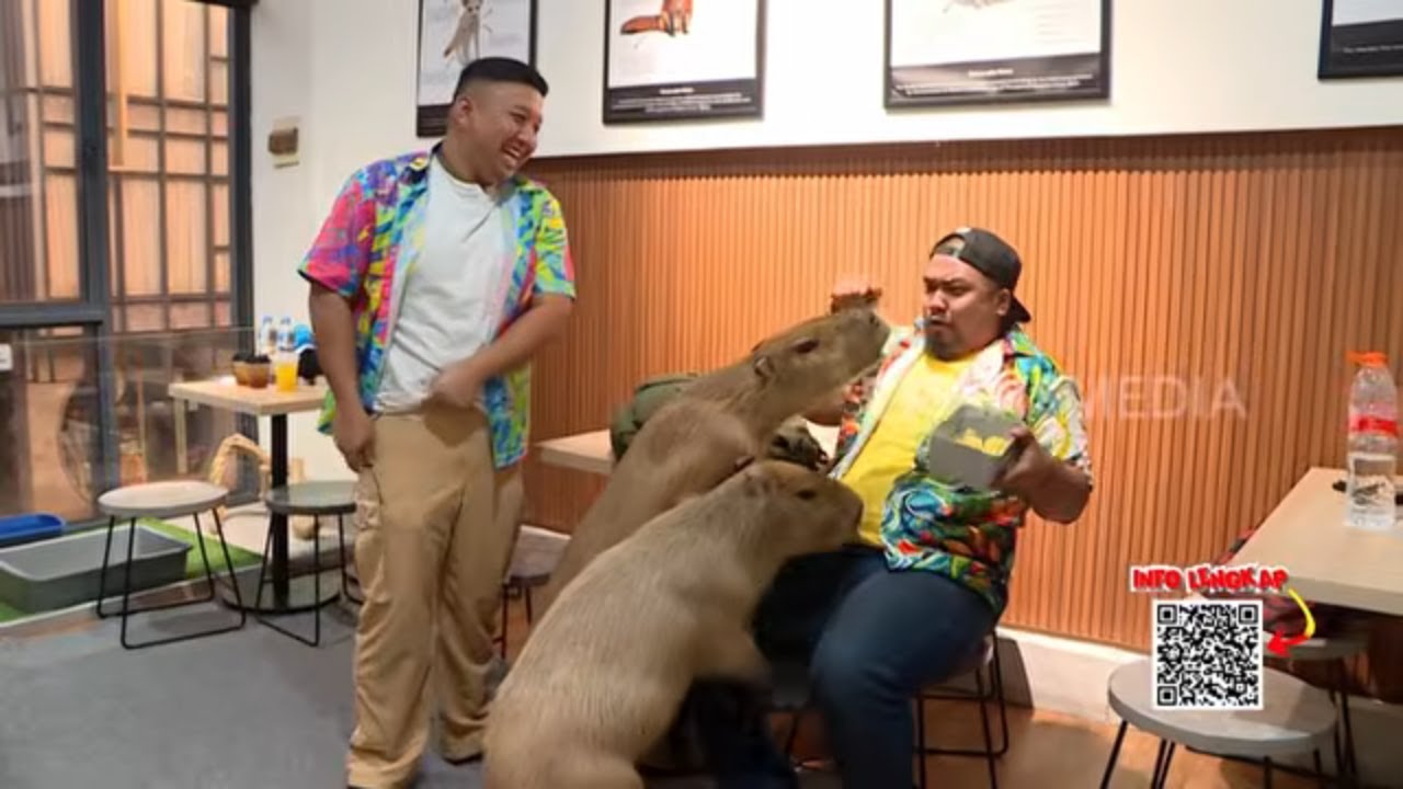 Yudho Boengkoes & Kiki Ciaxman Nongkrong di Fox Cafe BSD | MAKAN RECEH (78/03/26)