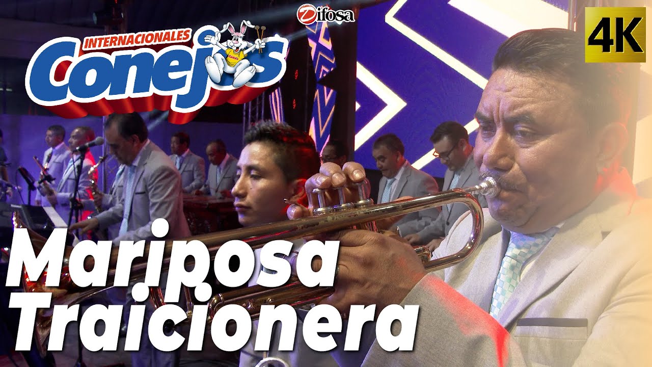 Mariposa Traicionera - Internacionales Conejos