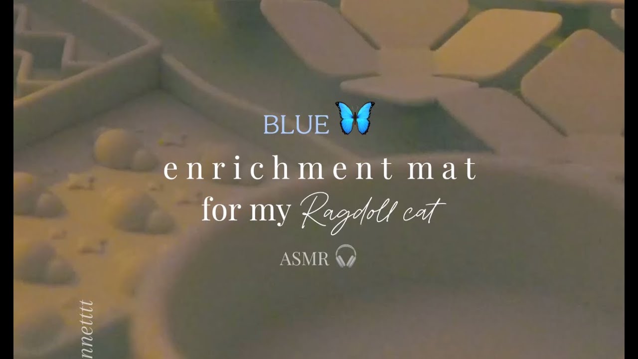 Birthday Enrichment Mat for my Ragdoll Cat VLOG, From Start to Finish | ASMR 🎧 🚨Whole Prey