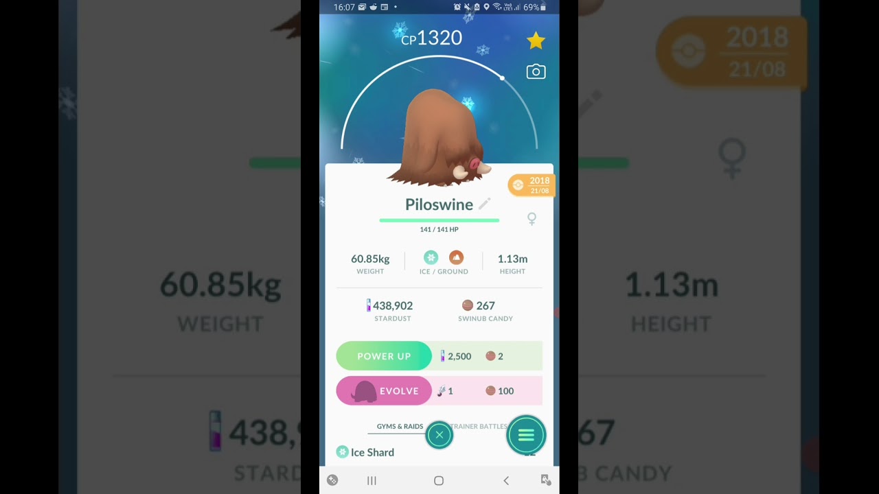 Evolution of Piloswine into Mamoswine; Sinnoh stone Pokemon Go.