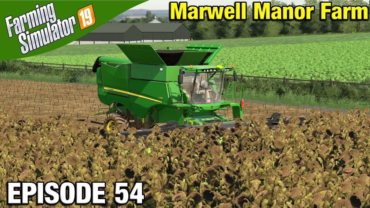 WORKING ON SUNFLOWERS Farming Simulator 19 Timelapse - Marwell Manor Farm FS19 Episode 54