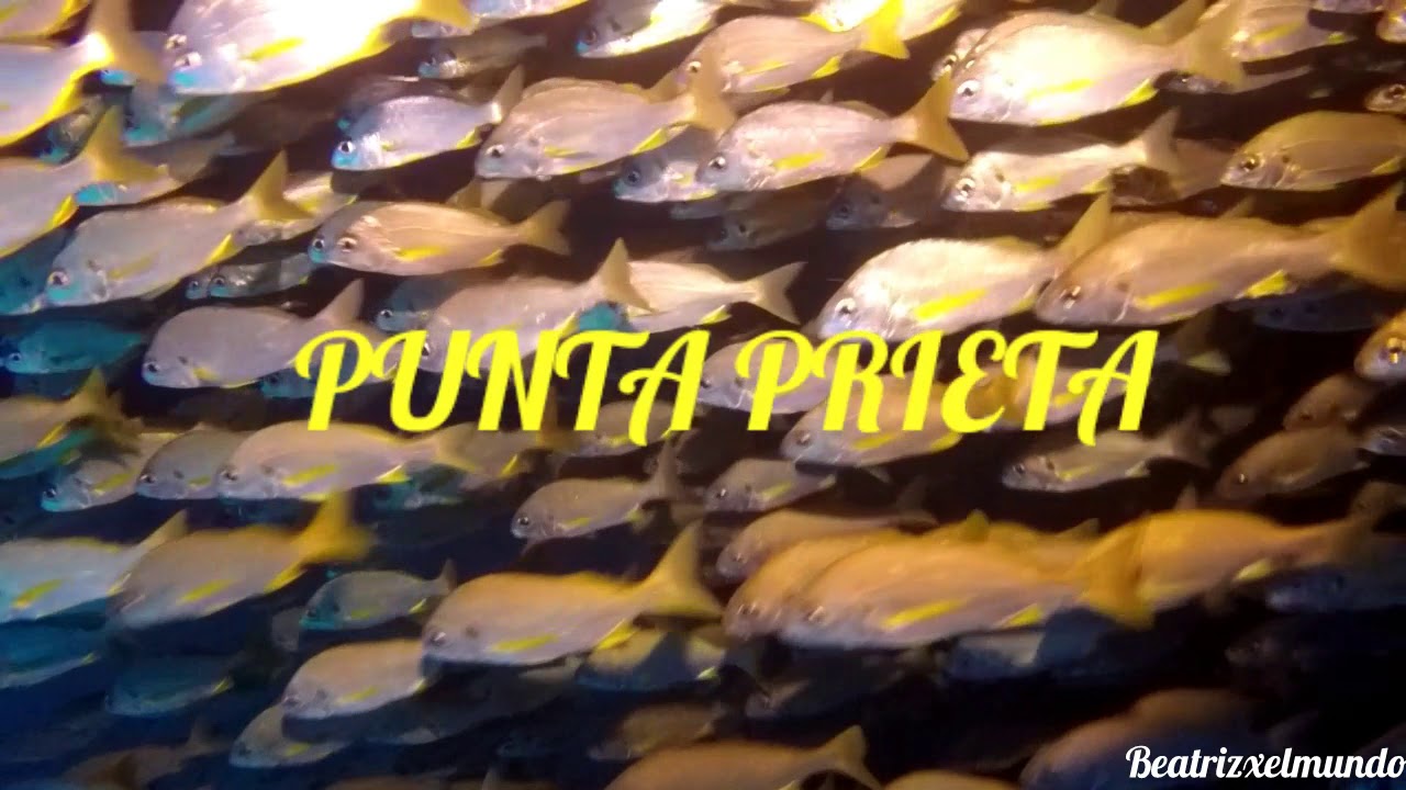 Punta Prieta. Tenerife. Islas Canarias
