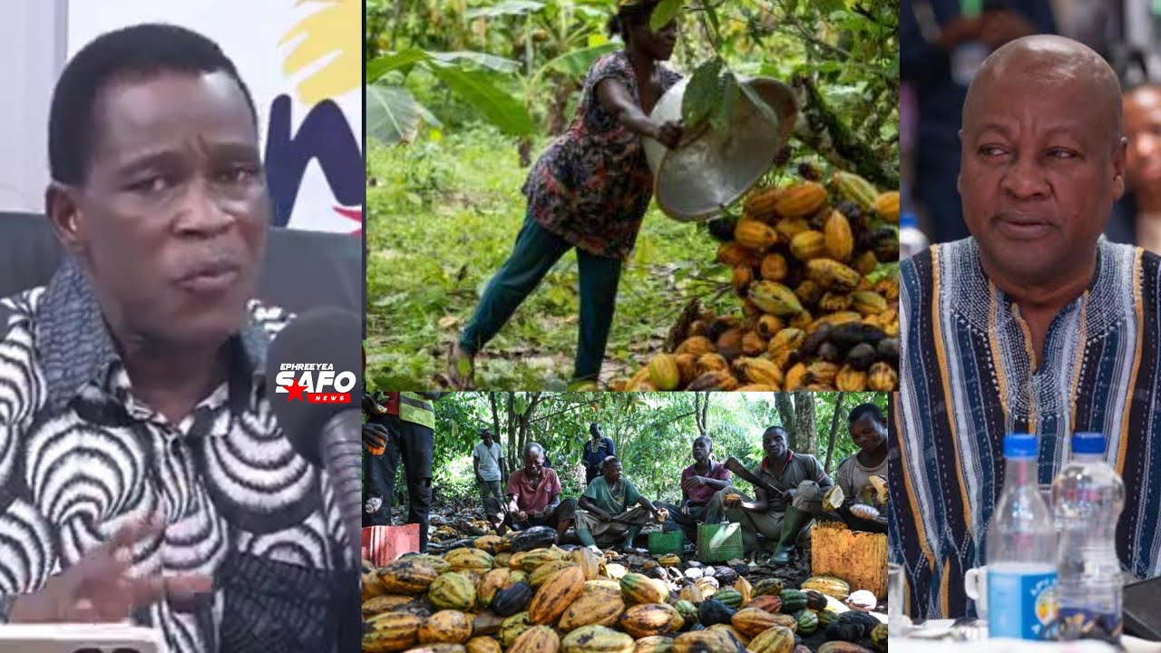 I aslo have 50acres Cocoa Farm, I'm pained too😱Mahama speaks after price reduce from GHC2,500