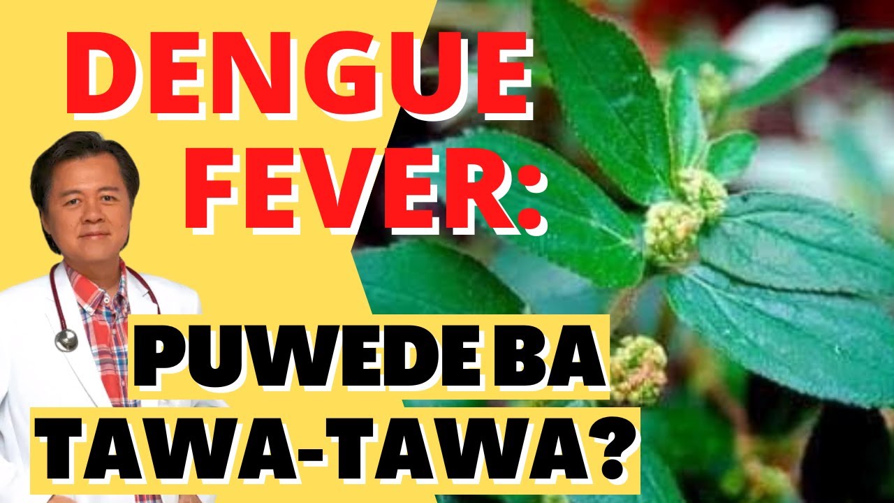 Dengue Fever: Puwede ba Tawa-Tawa? - Payo ni Doc Willie Ong