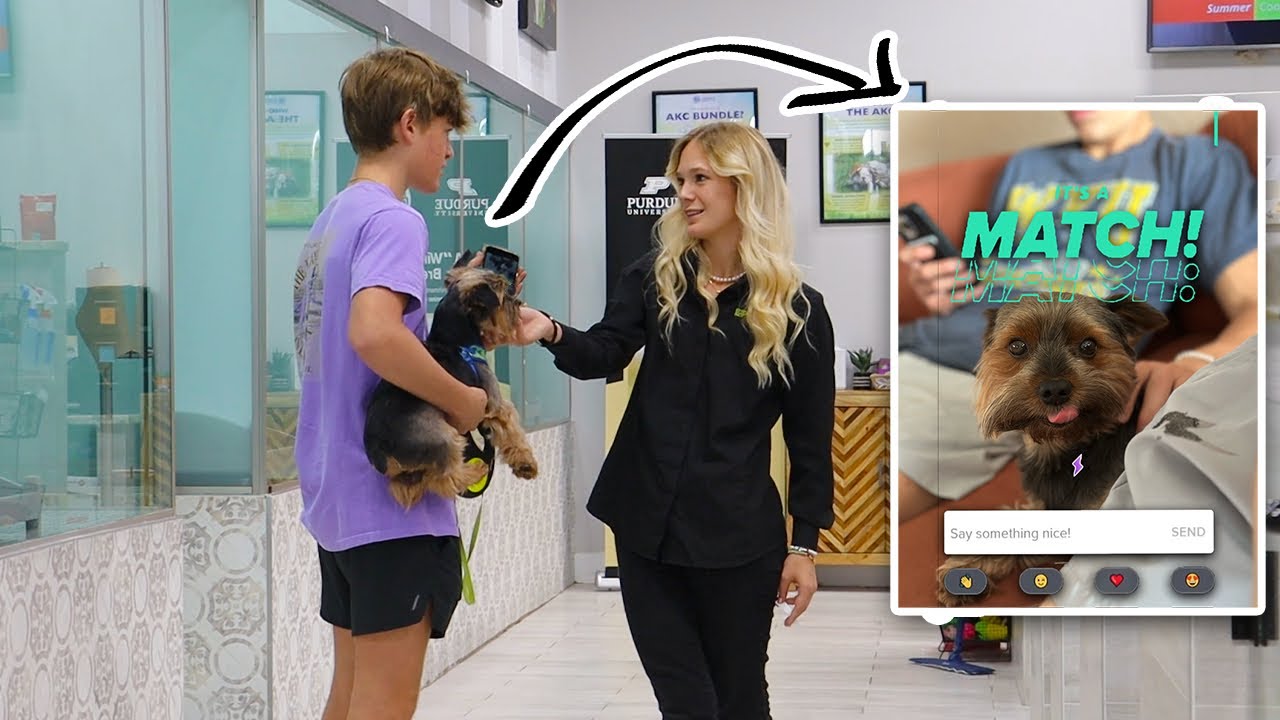 Fake Dog TINDER MATCH Prank!
