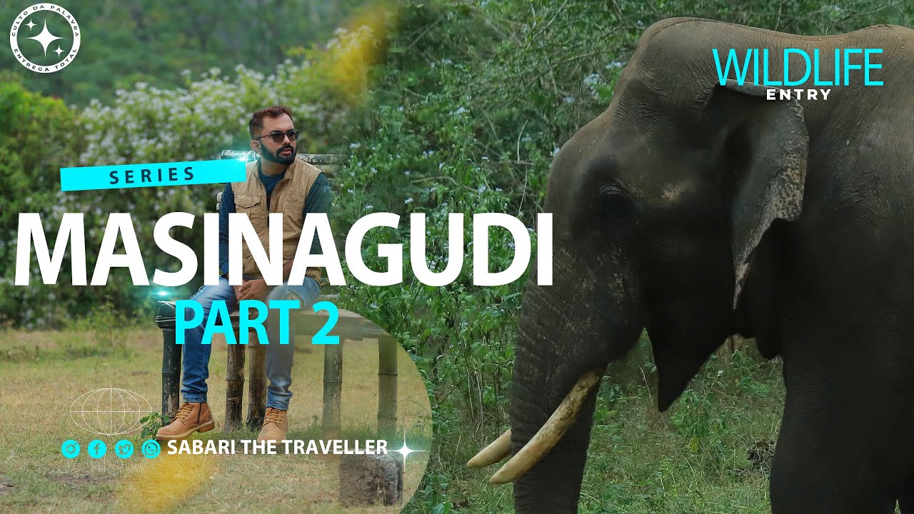 MASINAGUDI  |  PART 2 | SINGARA| MOYAR | MASINAGUDI WILDLIFE| MUDUMALAI TIGER RESERVE