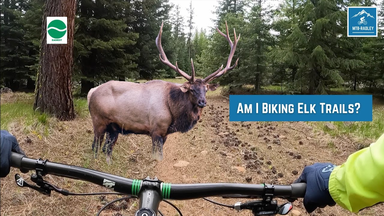 Mountain Biking Cowabunga & Cow Pond Traverse - Naneum Ridge State Forest