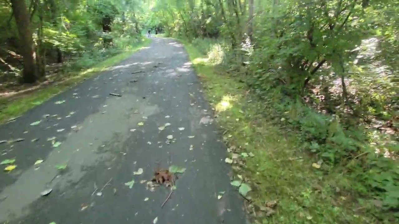 ASMR Walk in the park in Nashville Tennessee