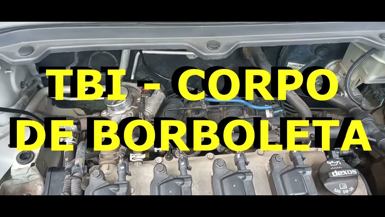 TBI - CORPO DE BORBOLETA
