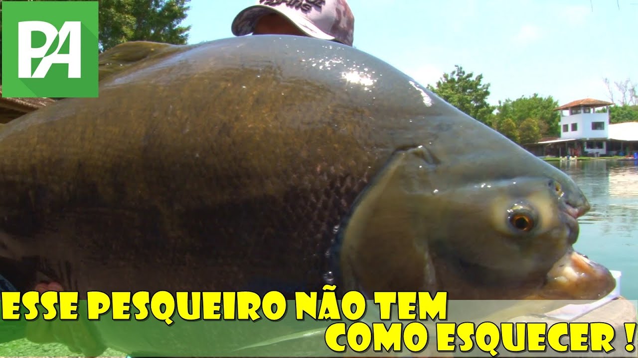 Esse Pesqueiro não tem como esquecer ! Pescando entre Amigos S0819
