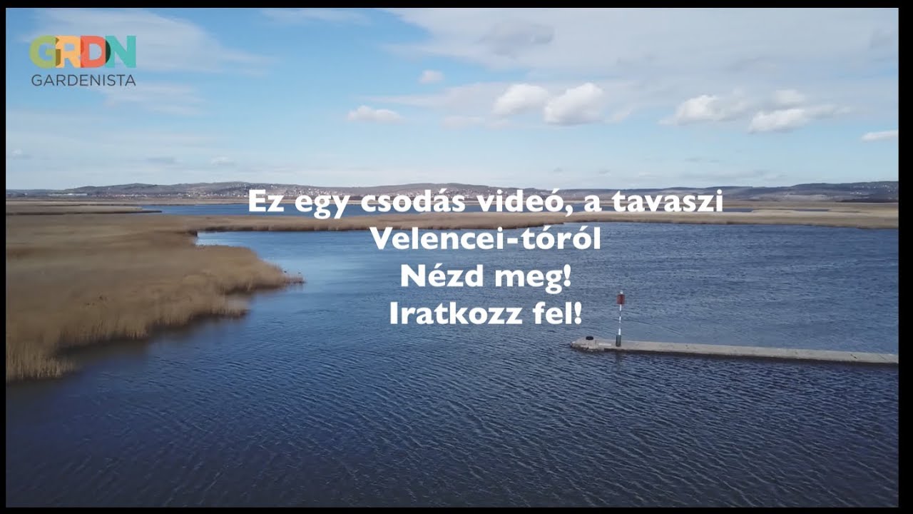 Velencei-tó tavasszal - GARDENISTA.HU