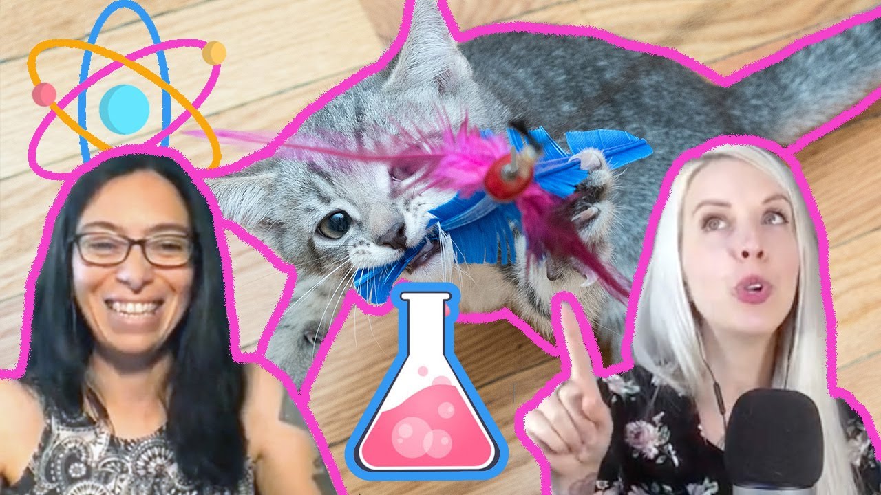 The Science of Cat Behavior!