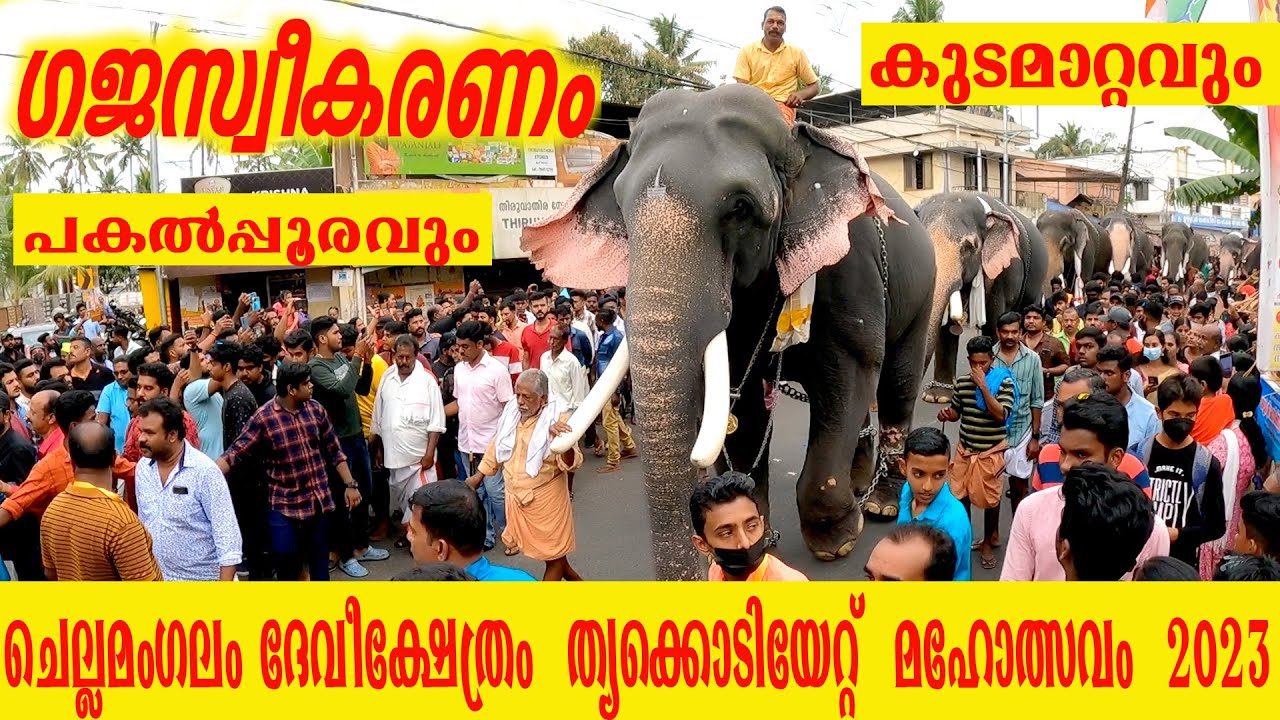 Chellamangalam Devi Kshethram /ചെല്ലമംഗലം ദേവി ക്ഷേത്രം കുടമാറ്റം പകൽപ്പൂരം 2023