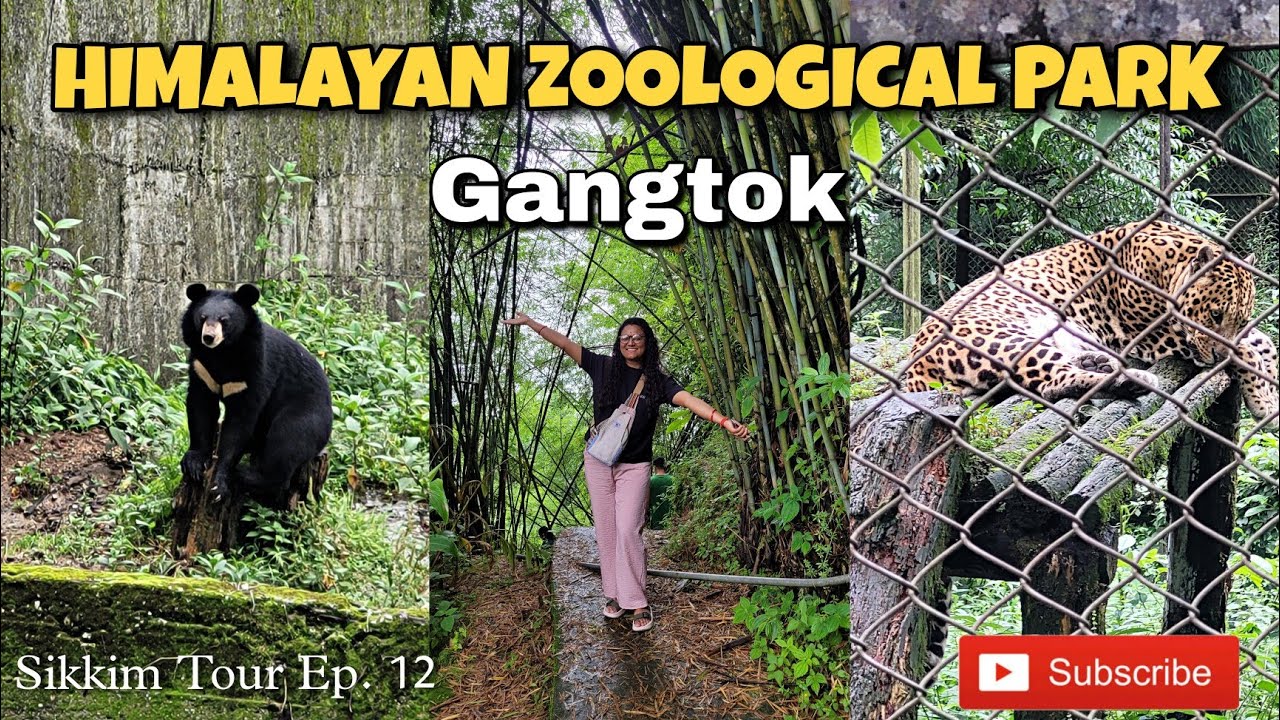 Himalayan Zoological Park Sikkim|| Sikkim Zoo|| Gangtok (Ep.12) #garimaharariya #travelvlog #zoo