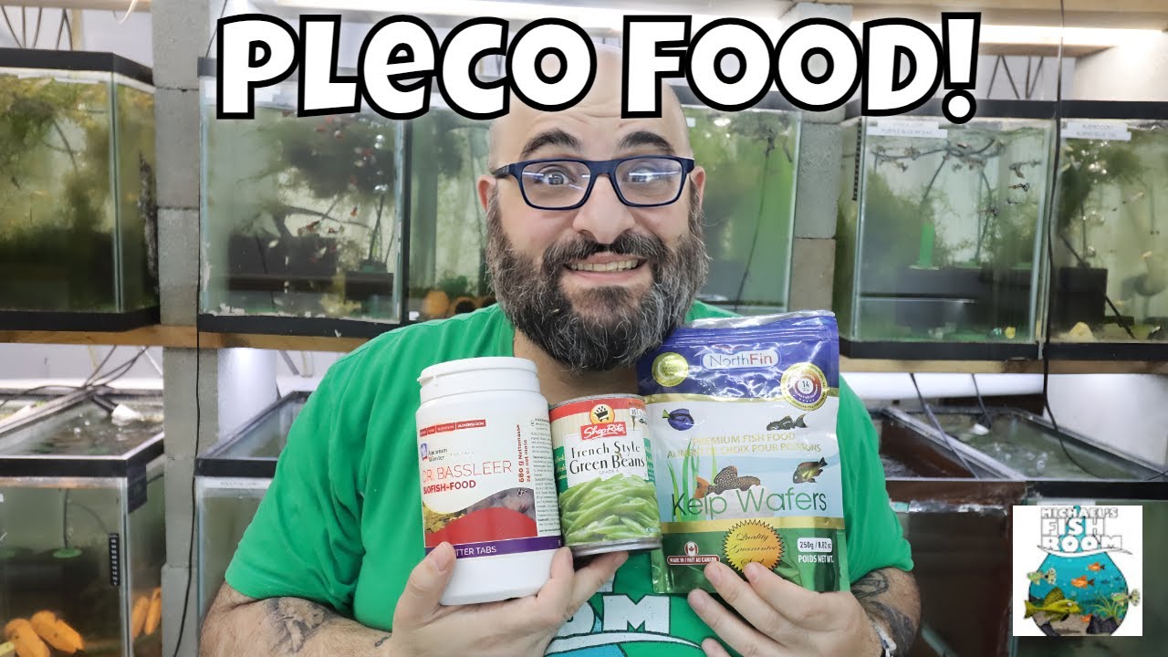 What I feed My Breeding for Profit Pleco Tanks
