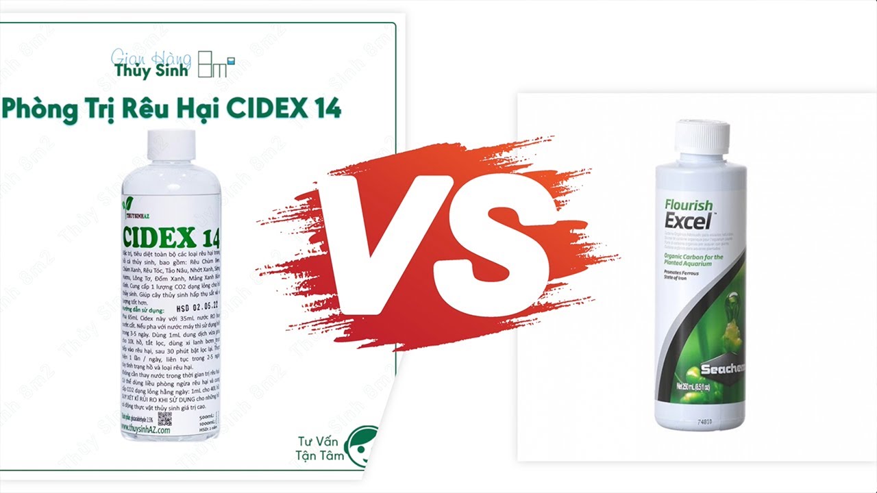 Hướng Dẫn Tự Pha Cidex 14 & So Sánh với Seachem Excel | 8m2