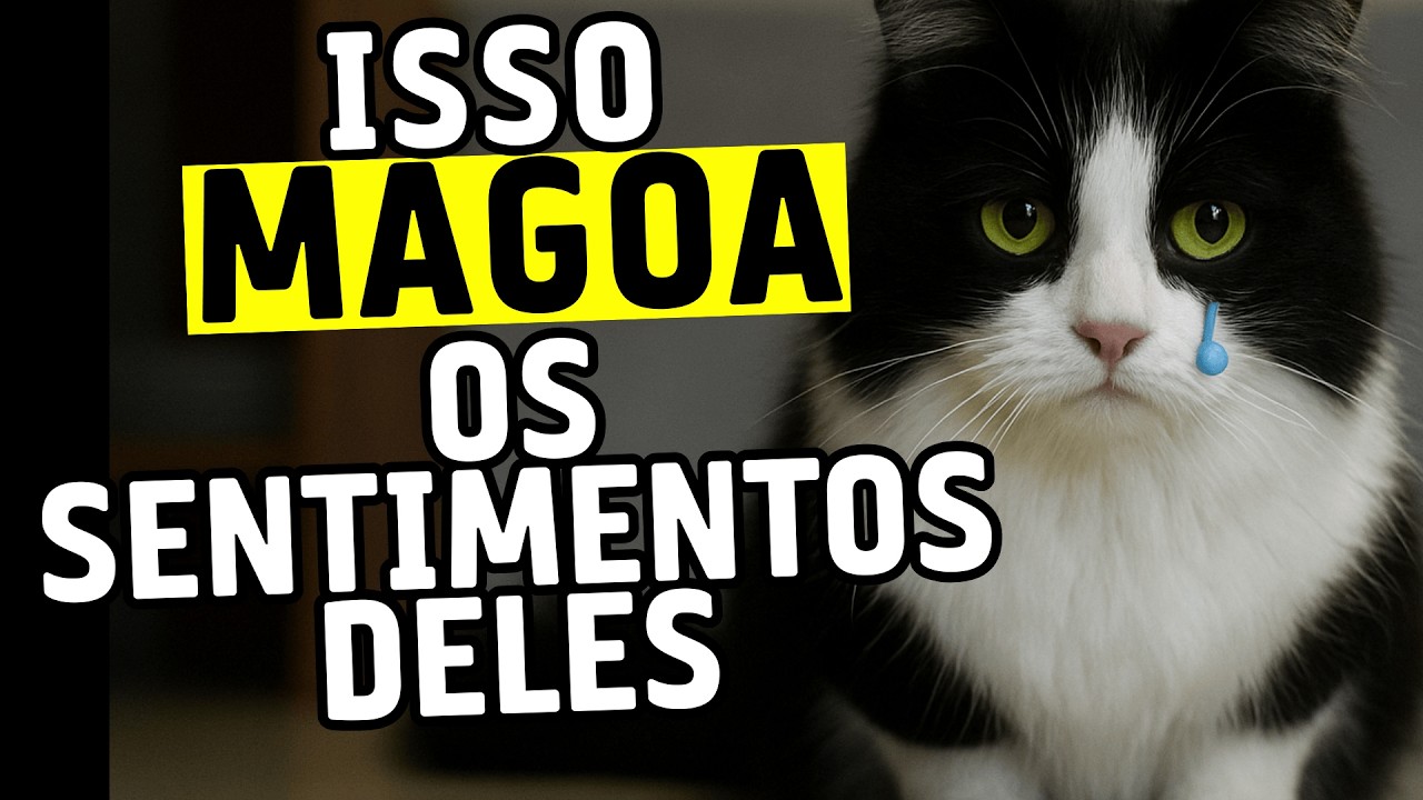 19 coisas que machucam seu gato secretamente todos os dias.