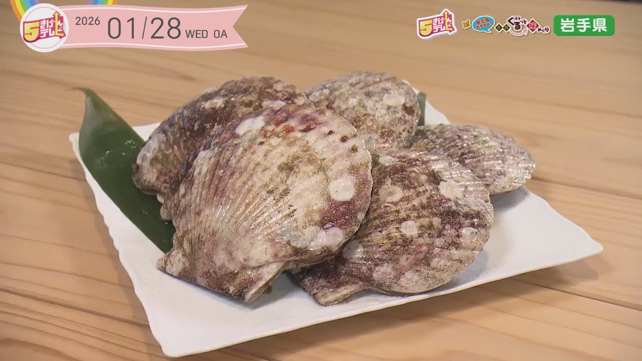 ぐるっと味めぐり｜泳ぐホタテ
