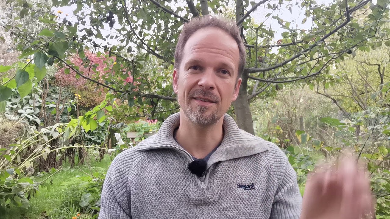 Astralkörper vor Manipulationen und energetischen Parasiten schützen