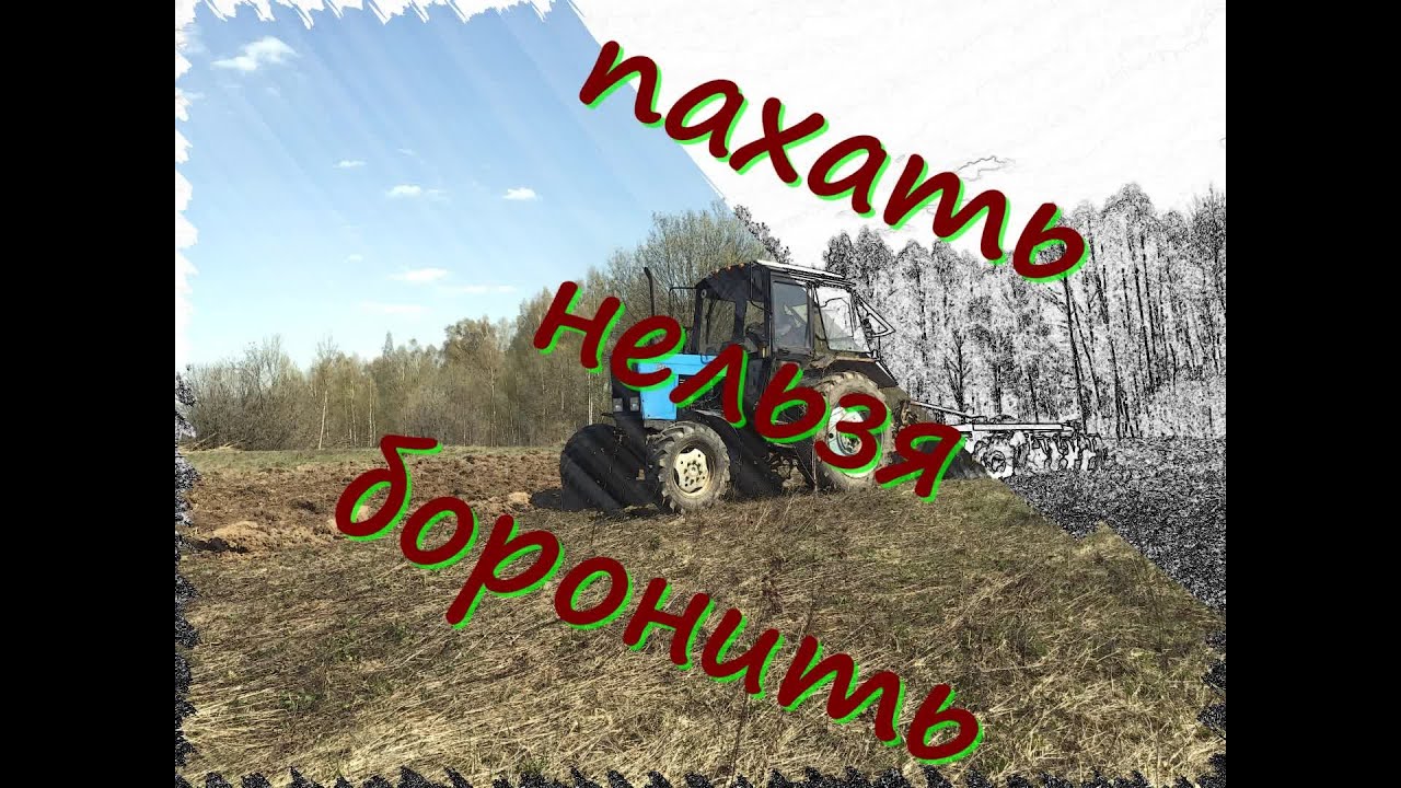 Бороним Поле. Первичная обработка залежных земель. Апрель 2023