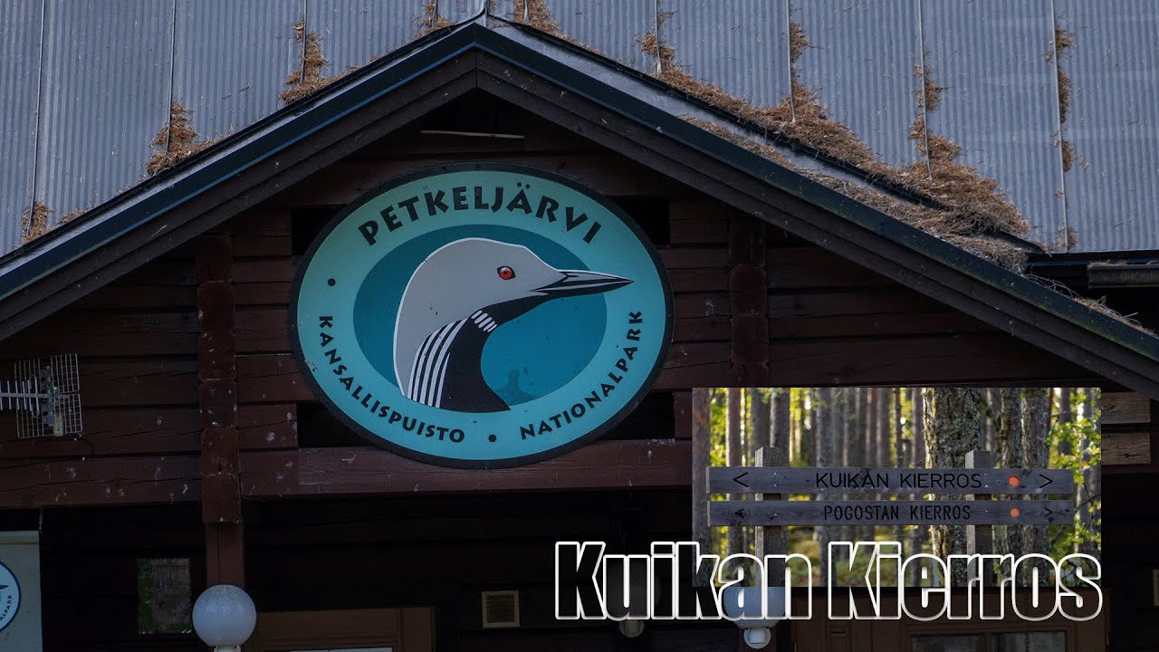Hiking in Petkeljärvi Nationalpark - Kuikan Kierros 6,5km