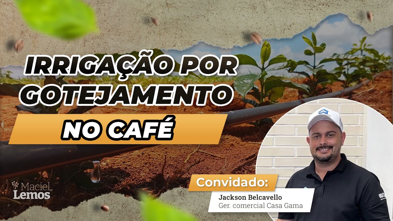 Irrigação por gotejamento no café: vantagens, manejo e erros comuns