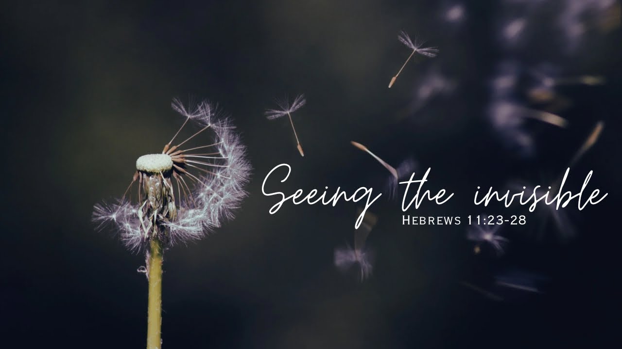 15/02/2026 | Seeing the invisible | AM 
